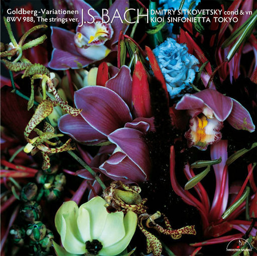 欧美日韩淫秽片
