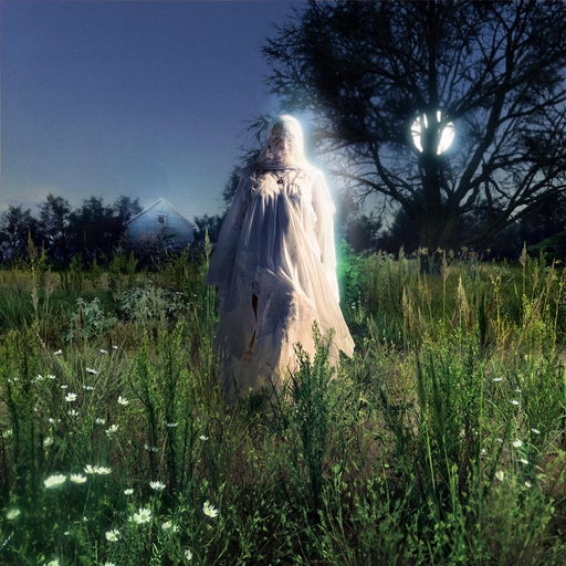 欧美日韩淫秽片
